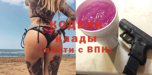 гашик Новозыбков