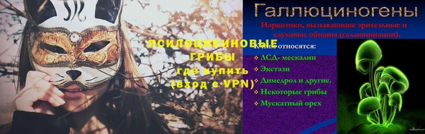 дмт Каменногорск