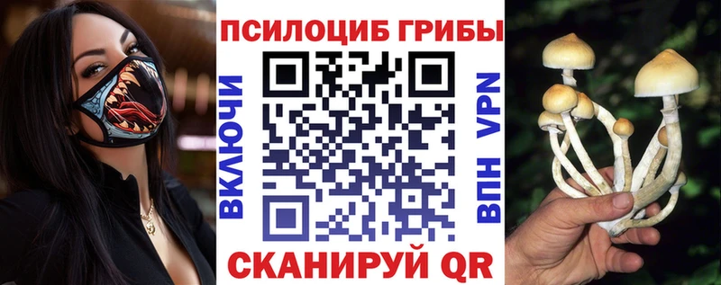 Галлюциногенные грибы ЛСД  Болгар 